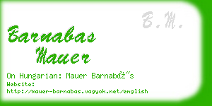 barnabas mauer business card